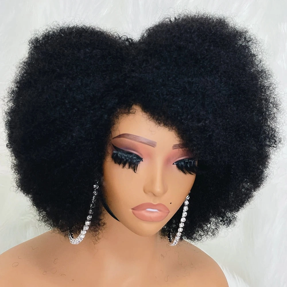 13x6 Afro Kinky Curly Bob Wig 250% Preplucked Human Hair Lace Front  Wigs