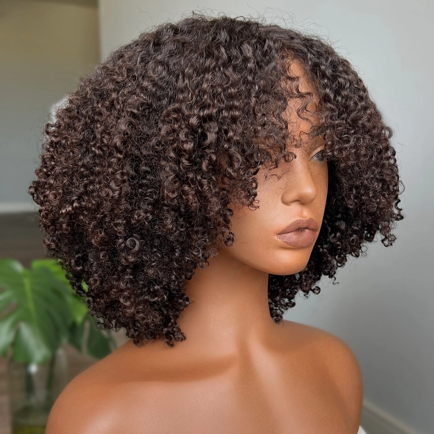 250% Density 13x4 Styled Kinky Curly Human Hair Lace Front Wig