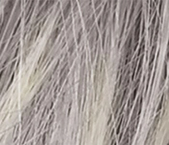 Accessories_Ellen Wille_Wigs Adore Human/Synthetic Hair Blend Wig Wig by Ellen Wille