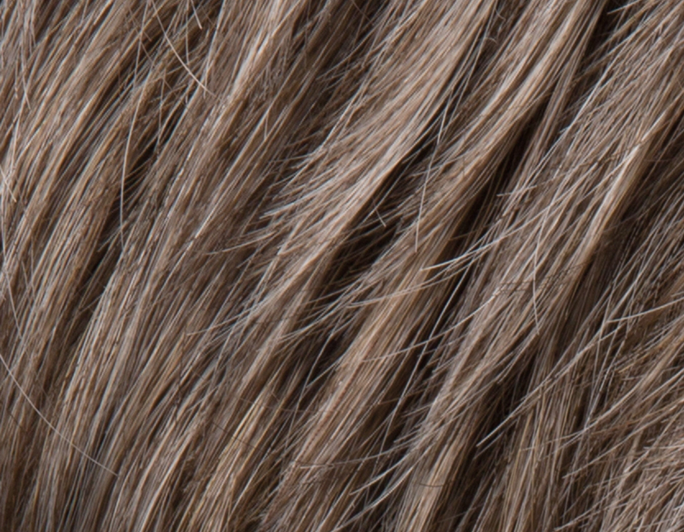 Accessories_Ellen Wille_Wigs Brad Wig by Ellen Wille
