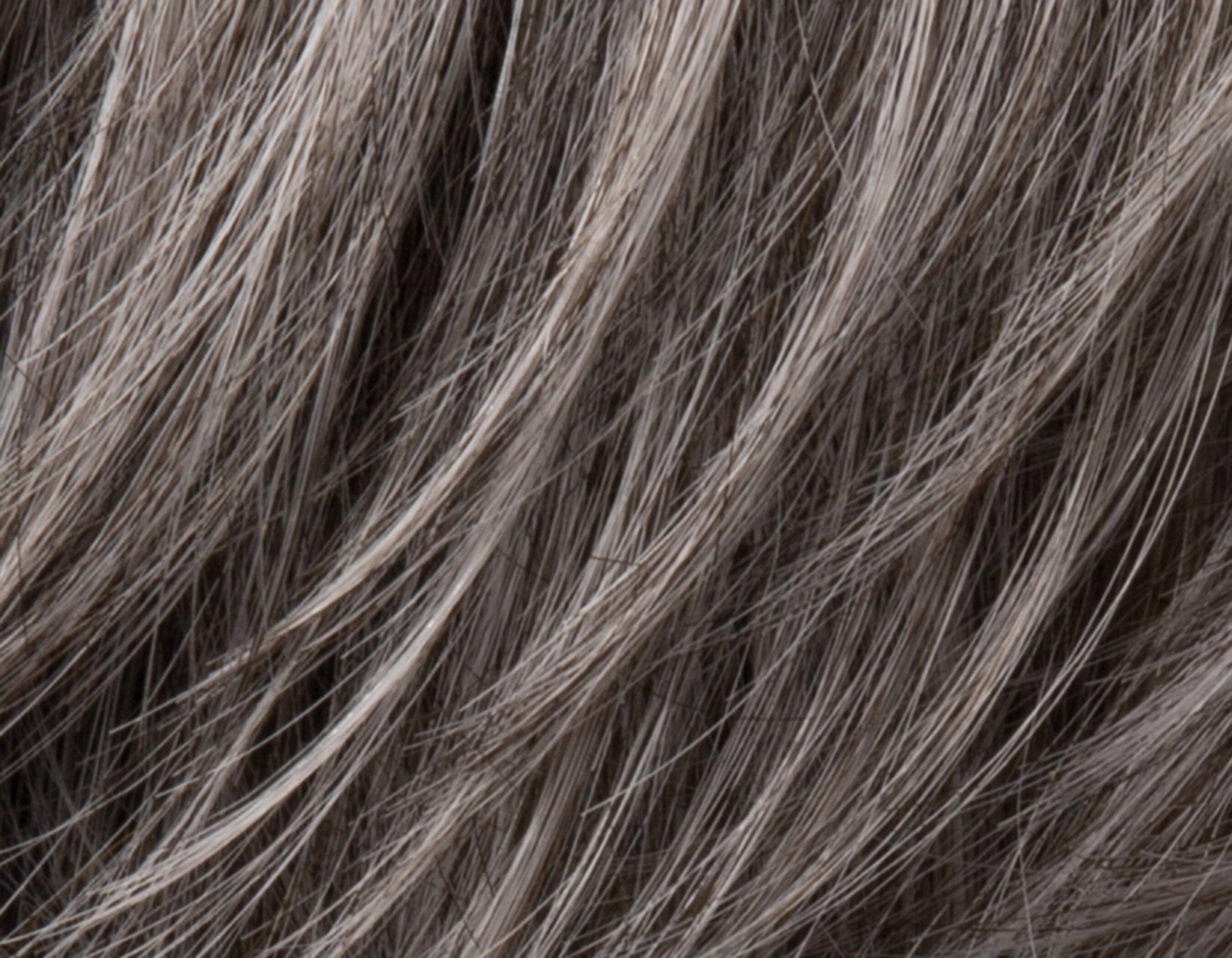 Accessories_Ellen Wille_Wigs Brad Wig by Ellen Wille