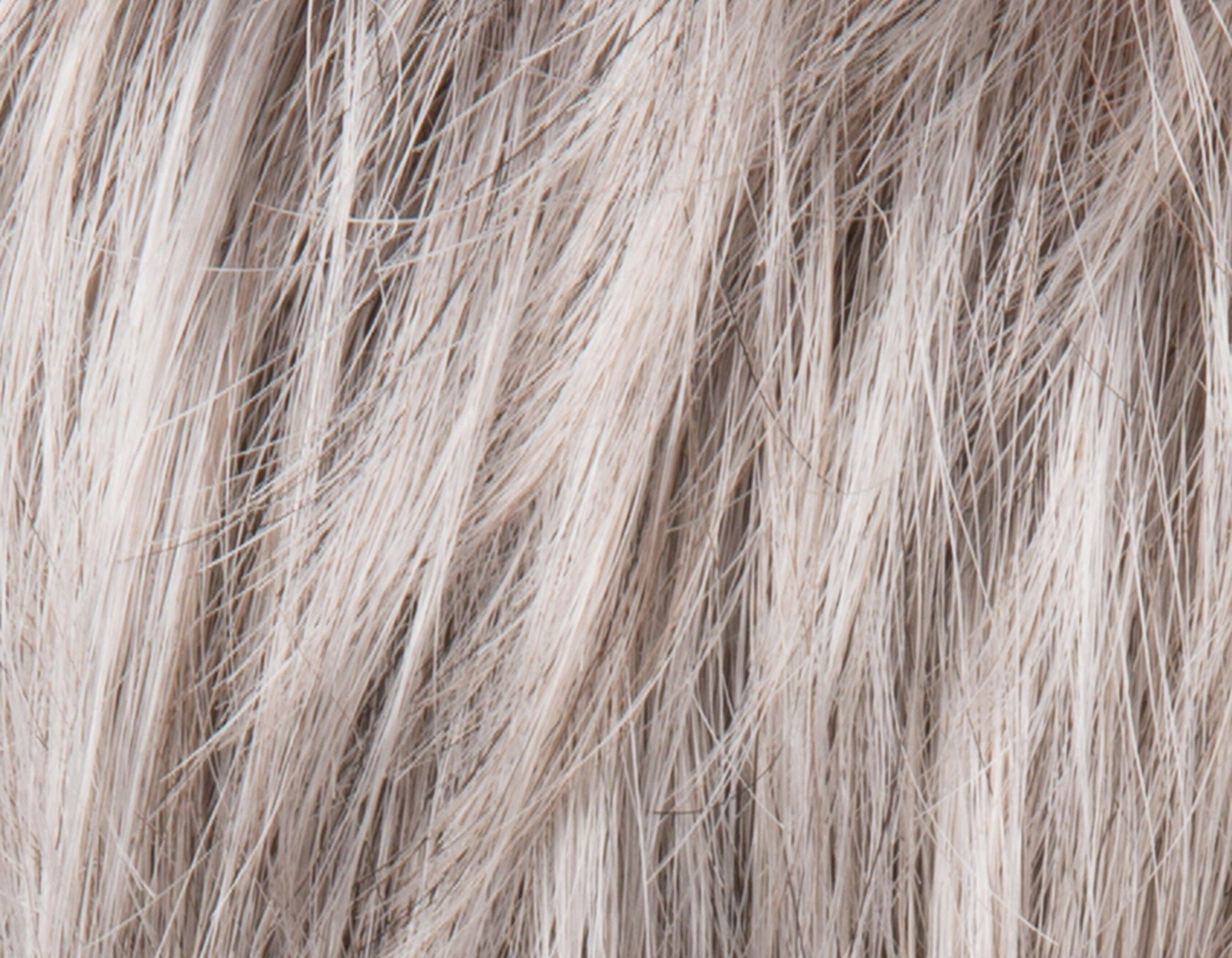 Accessories_Ellen Wille_Wigs Brad Wig by Ellen Wille