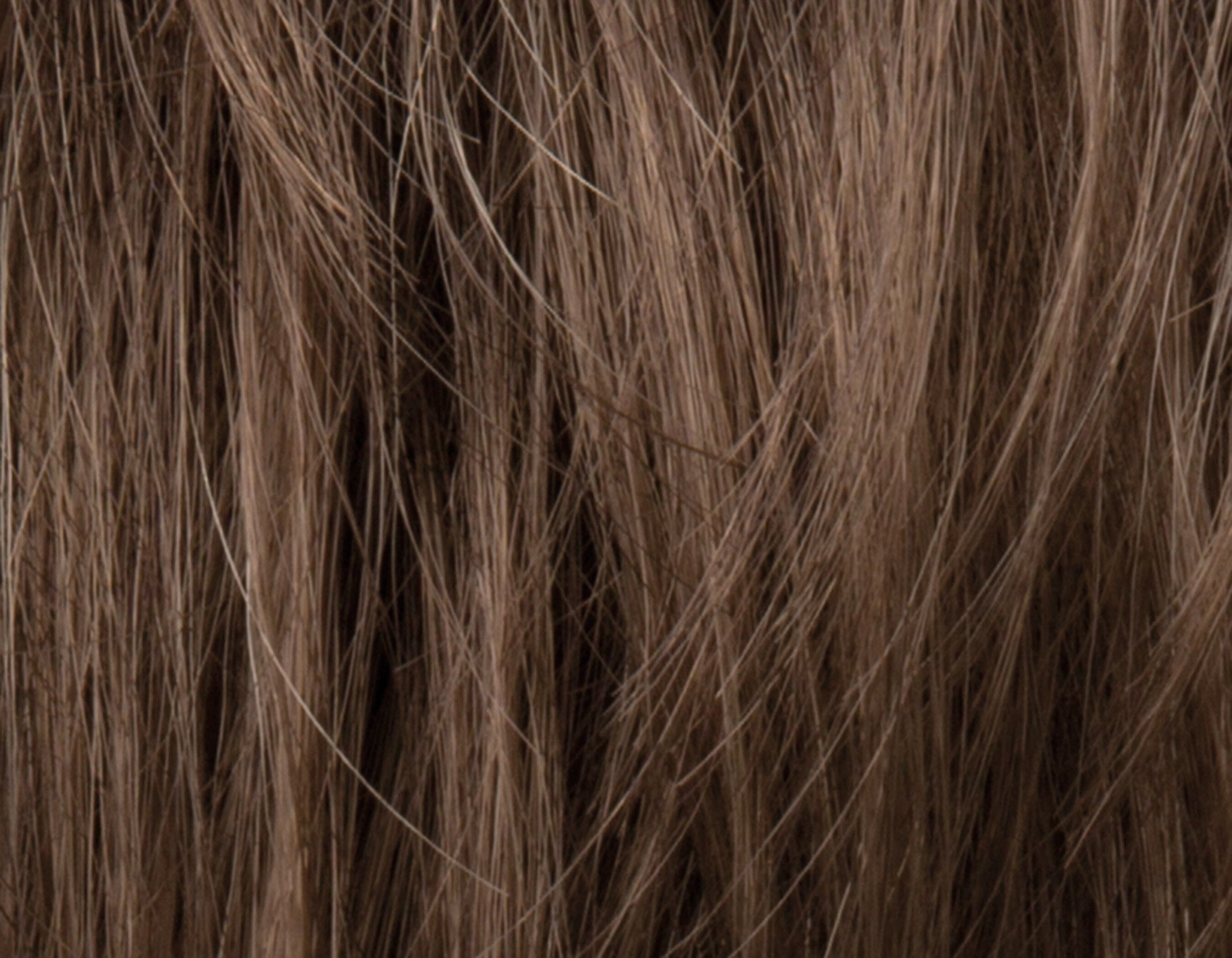 Accessories_Ellen Wille_Wigs Brad Wig by Ellen Wille