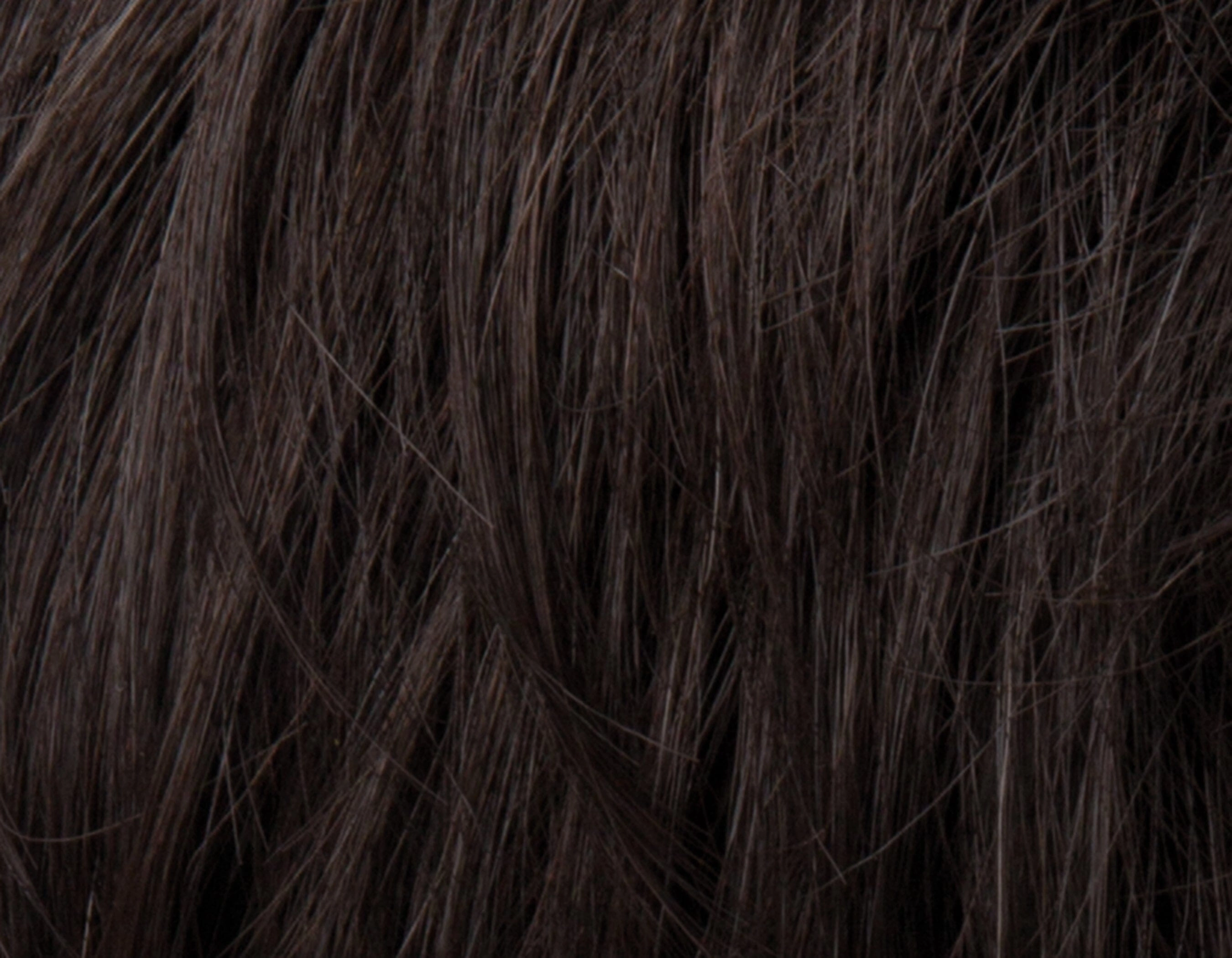 Accessories_Ellen Wille_Wigs Brad Wig by Ellen Wille