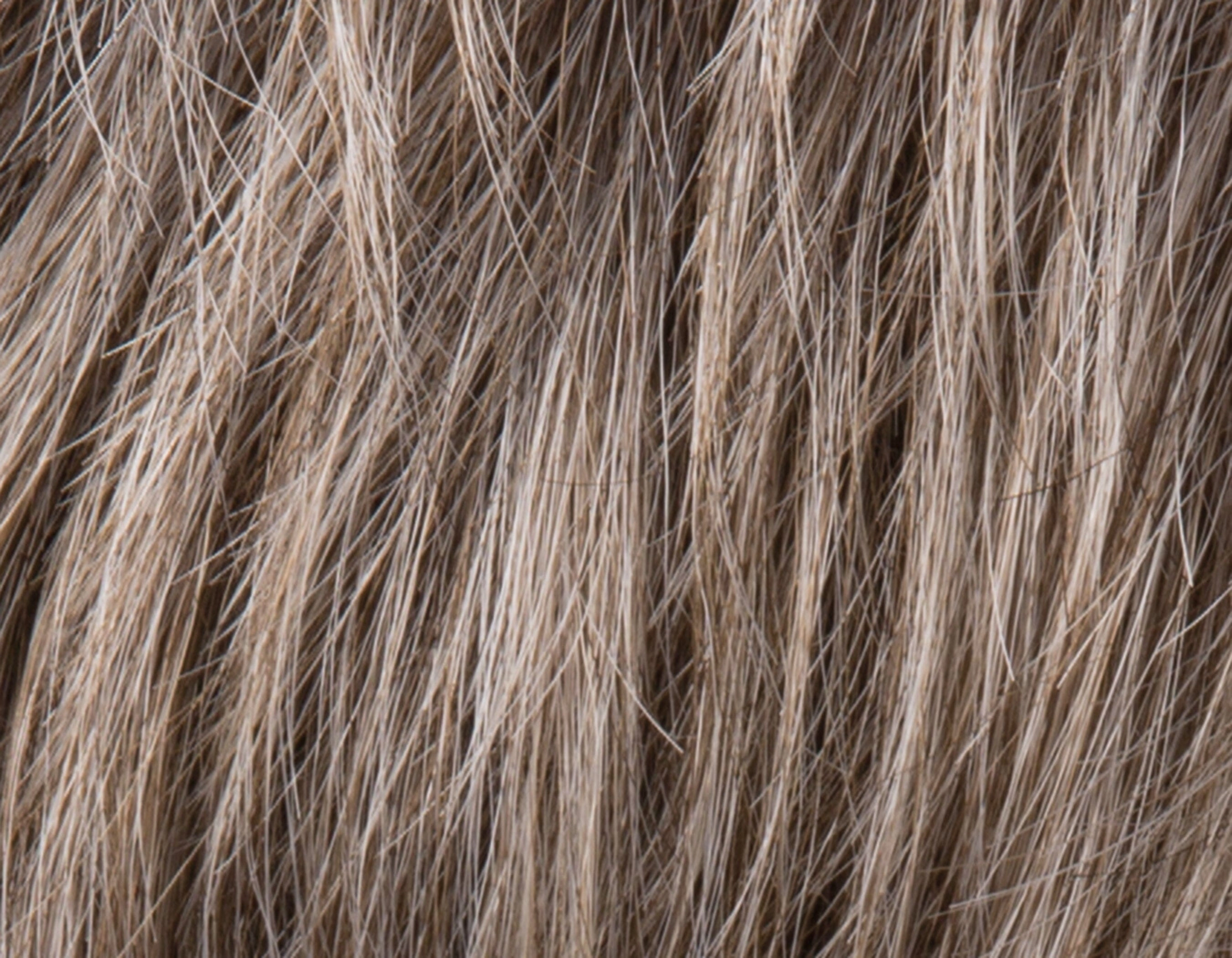 Accessories_Ellen Wille_Wigs Brad Wig by Ellen Wille