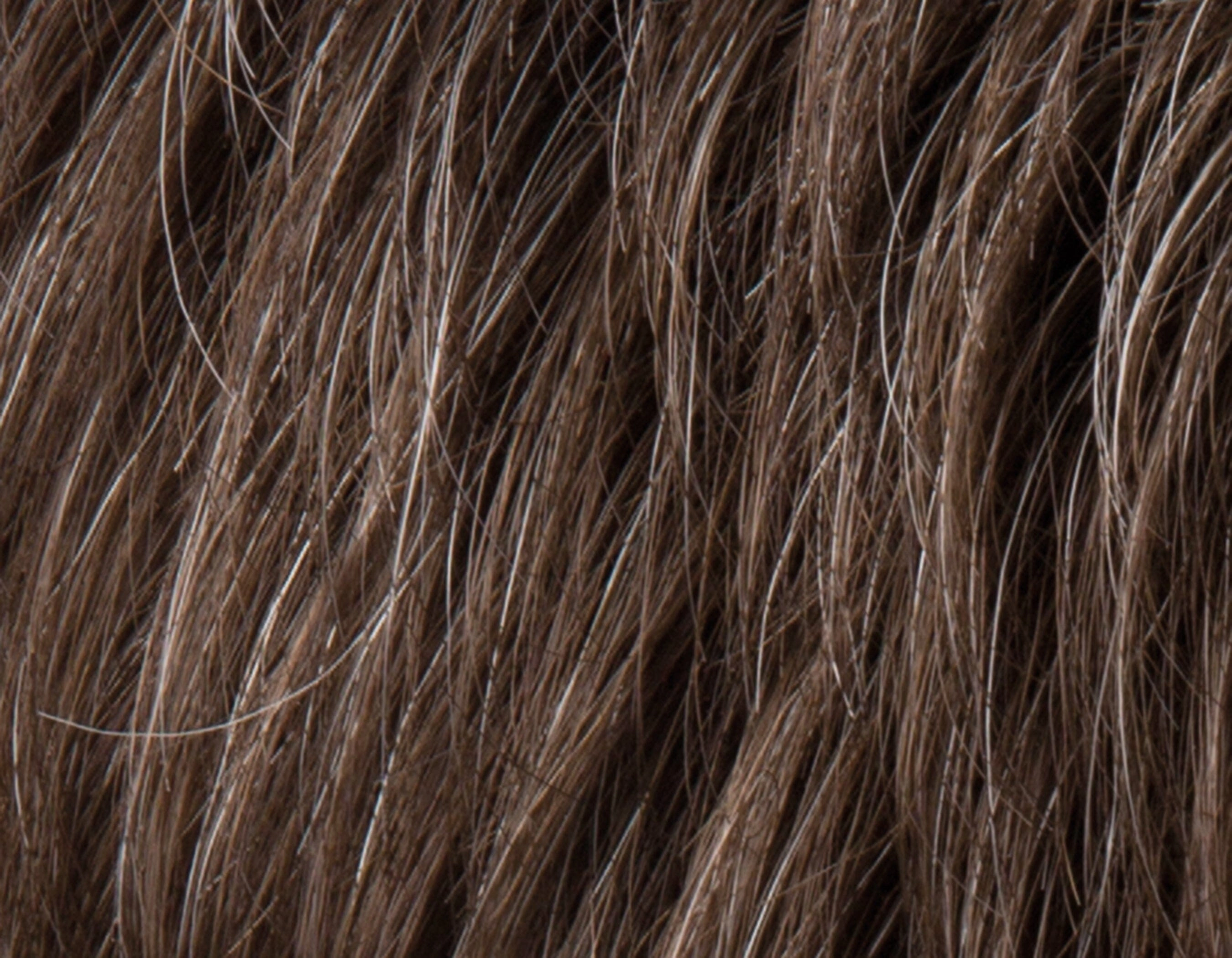 Accessories_Ellen Wille_Wigs Brad Wig by Ellen Wille