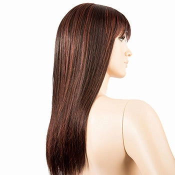 Accessories_Ellen Wille_Wigs Cher