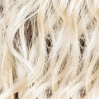 Accessories_Ellen Wille_Wigs Cher