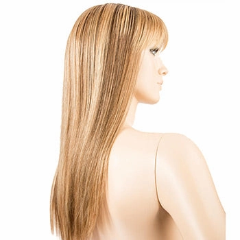 Accessories_Ellen Wille_Wigs Cher