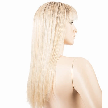 Accessories_Ellen Wille_Wigs Cher