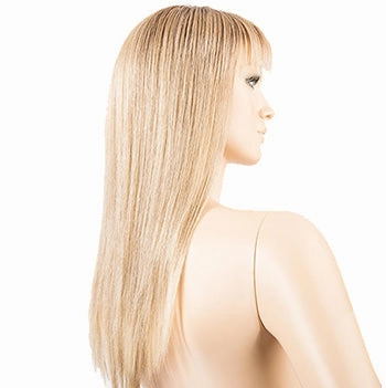 Accessories_Ellen Wille_Wigs Cher