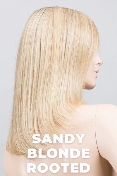Accessories_Ellen Wille_Wigs Ellen Wille Wigs - Affair Hi