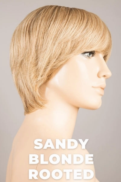 Accessories_Ellen Wille_Wigs Ellen Wille Wigs - Award Small - Remy Human Hair