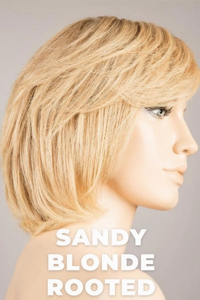 Accessories_Ellen Wille_Wigs Ellen Wille Wigs - Brilliance Plus - Remy Human Hair