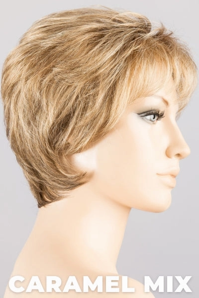 Accessories_Ellen Wille_Wigs Ellen Wille Wigs - Desire