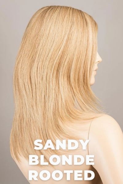 Accessories_Ellen Wille_Wigs Ellen Wille Wigs - Spectra Plus Human Hair