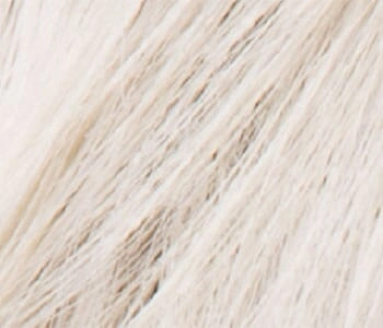 Accessories_Ellen Wille_Wigs Encore Human Hair / Heat Friendly Synthetic Blend Short Wig by Ellen Wille