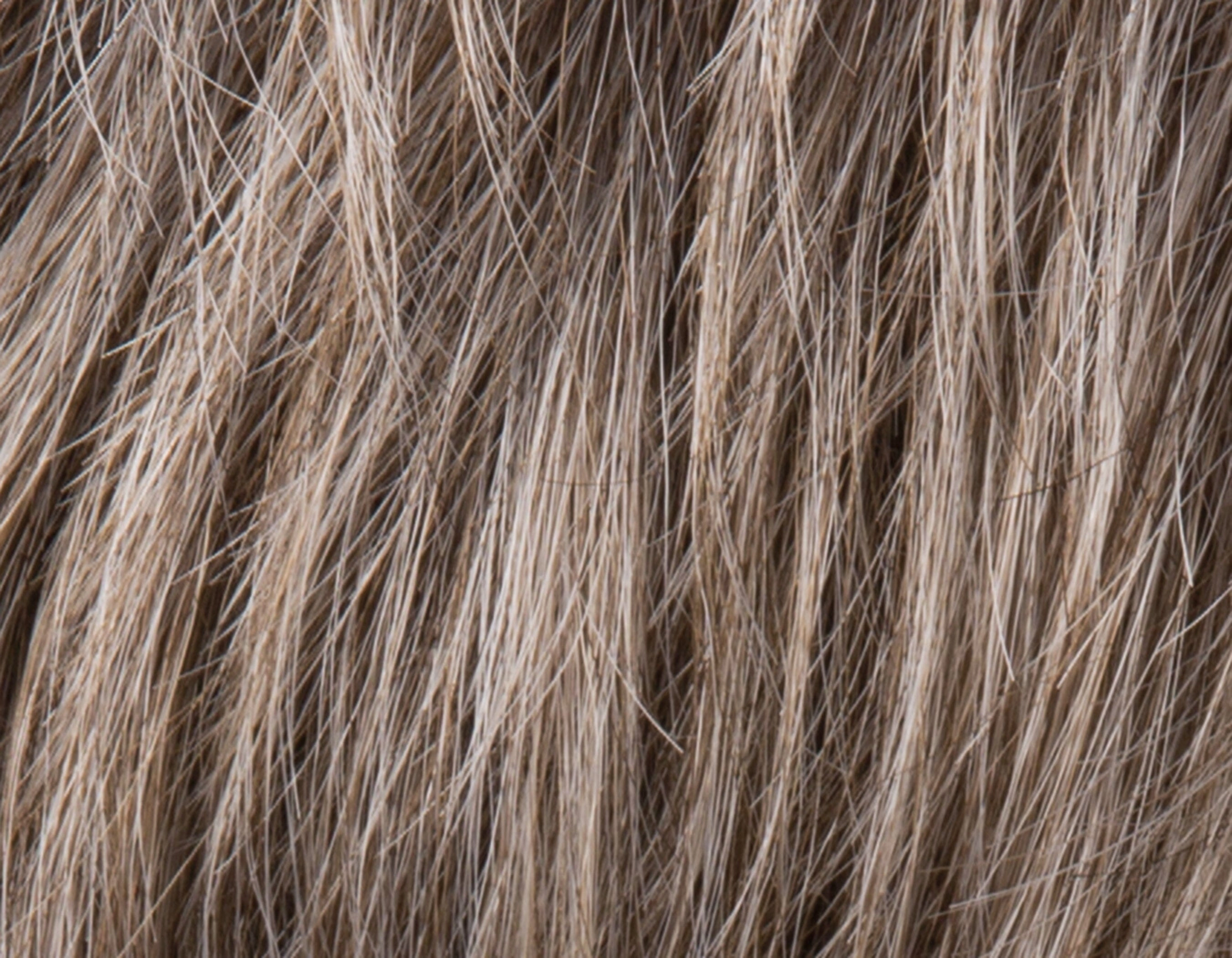 Accessories_Ellen Wille_Wigs George 5 Stars 2.0 Wig by Ellen Wile