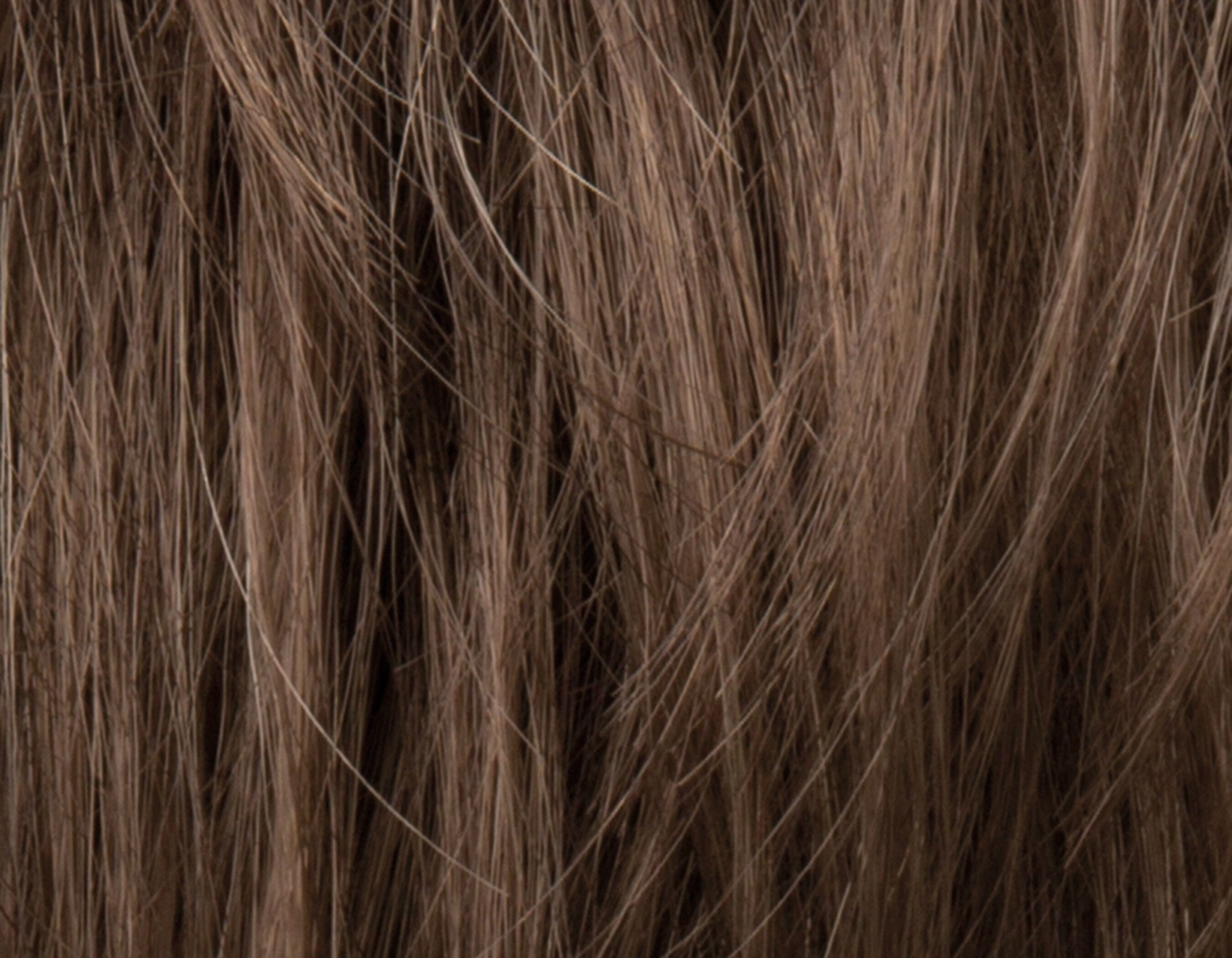Accessories_Ellen Wille_Wigs George 5 Stars 2.0 Wig by Ellen Wile