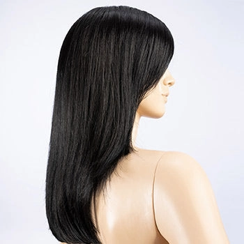 Accessories_Ellen Wille_Wigs Impress