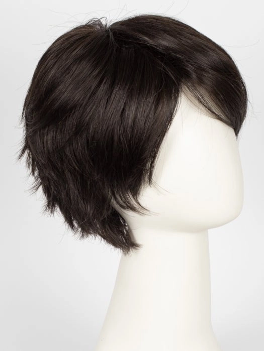Accessories_Ellen Wille_Wigs Sky by Ellen Wille | Synthetic Wig (Mono Crown)