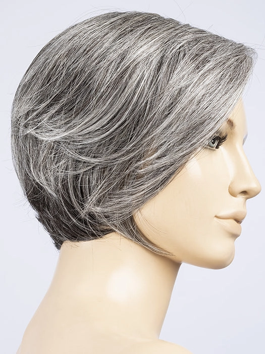 Accessories_Envy_Wigs Aletta Wig by Ellen Wille | Heat Friendly Synthetic Hair | Petite/Average Cap