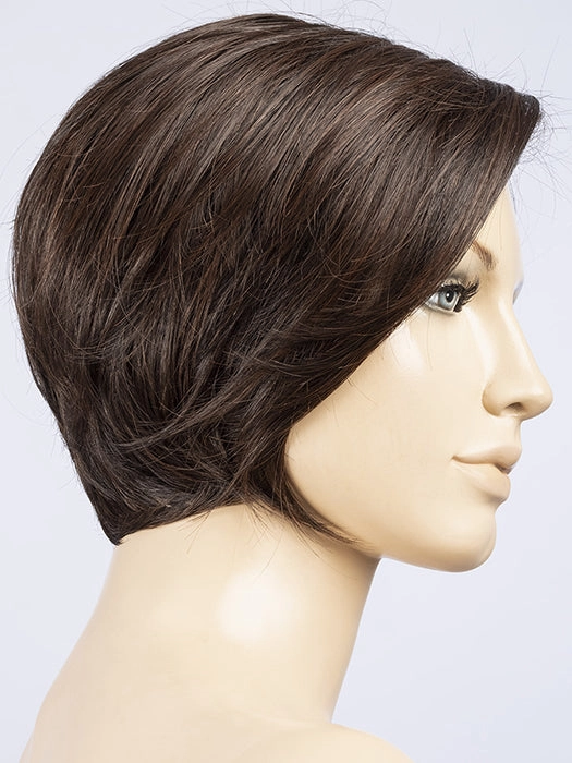Accessories_Envy_Wigs Aletta Wig by Ellen Wille | Heat Friendly Synthetic Hair | Petite/Average Cap