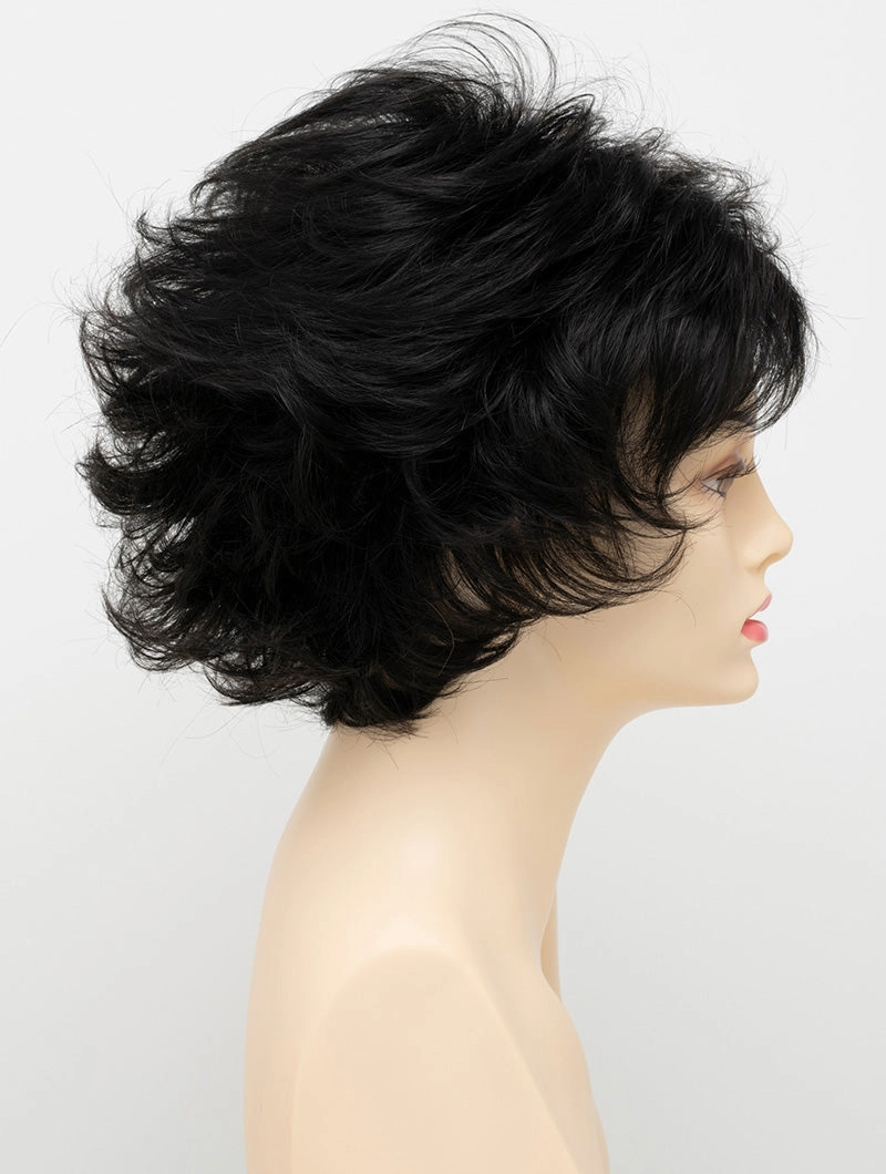 Accessories_Envy_Wigs Alyssa Petite