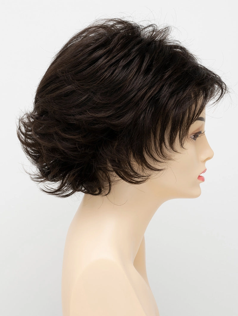 Accessories_Envy_Wigs Alyssa Petite