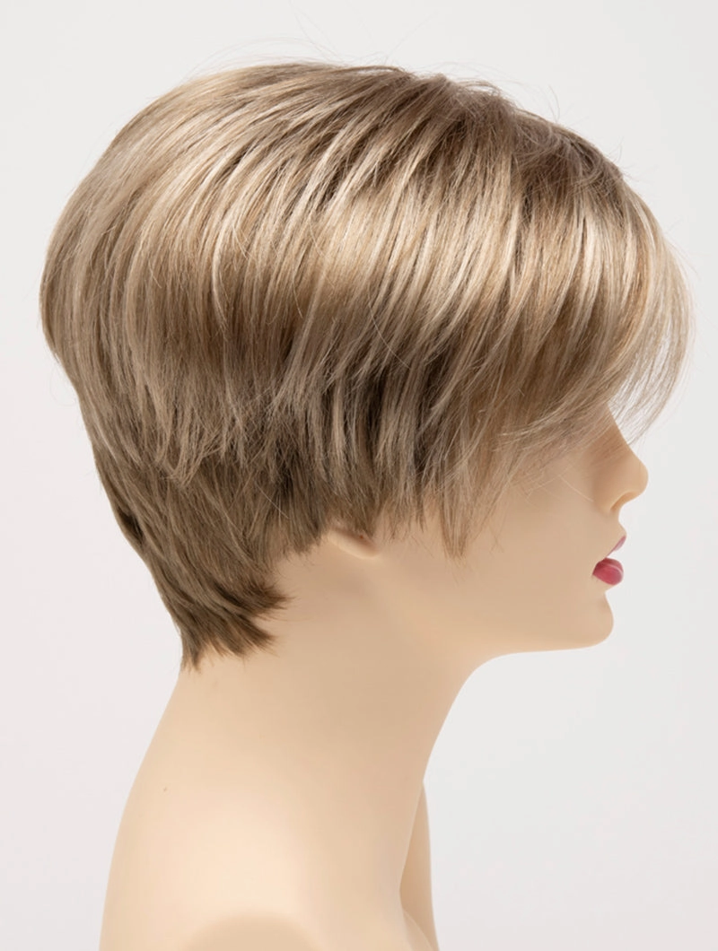 Accessories_Envy_Wigs Amy