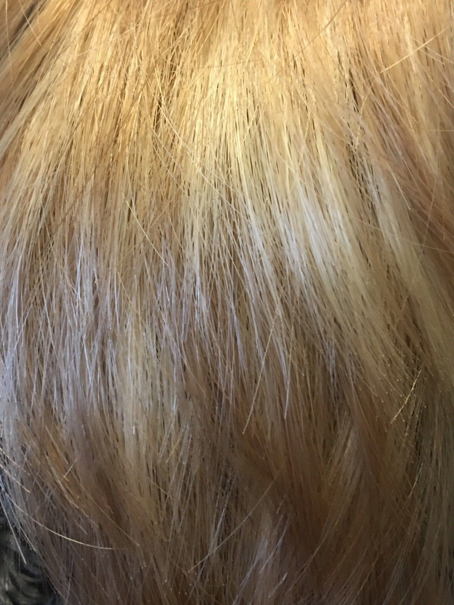 Accessories_Envy_Wigs Billie Wig by Envy | Human Hair/Synthetic Fiber Blend