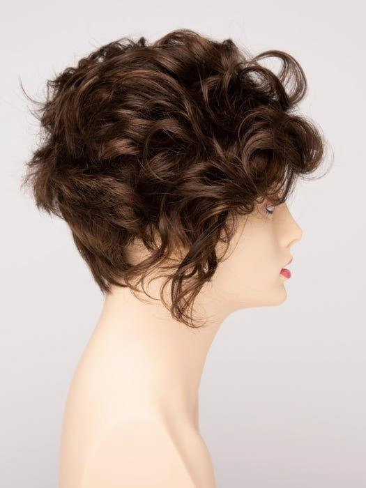 Accessories_Envy_Wigs Carrisa | Synthetic Lace Front Wig (Mono Part)