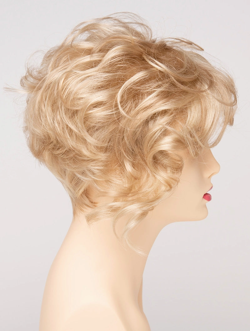 Accessories_Envy_Wigs Carrisa
