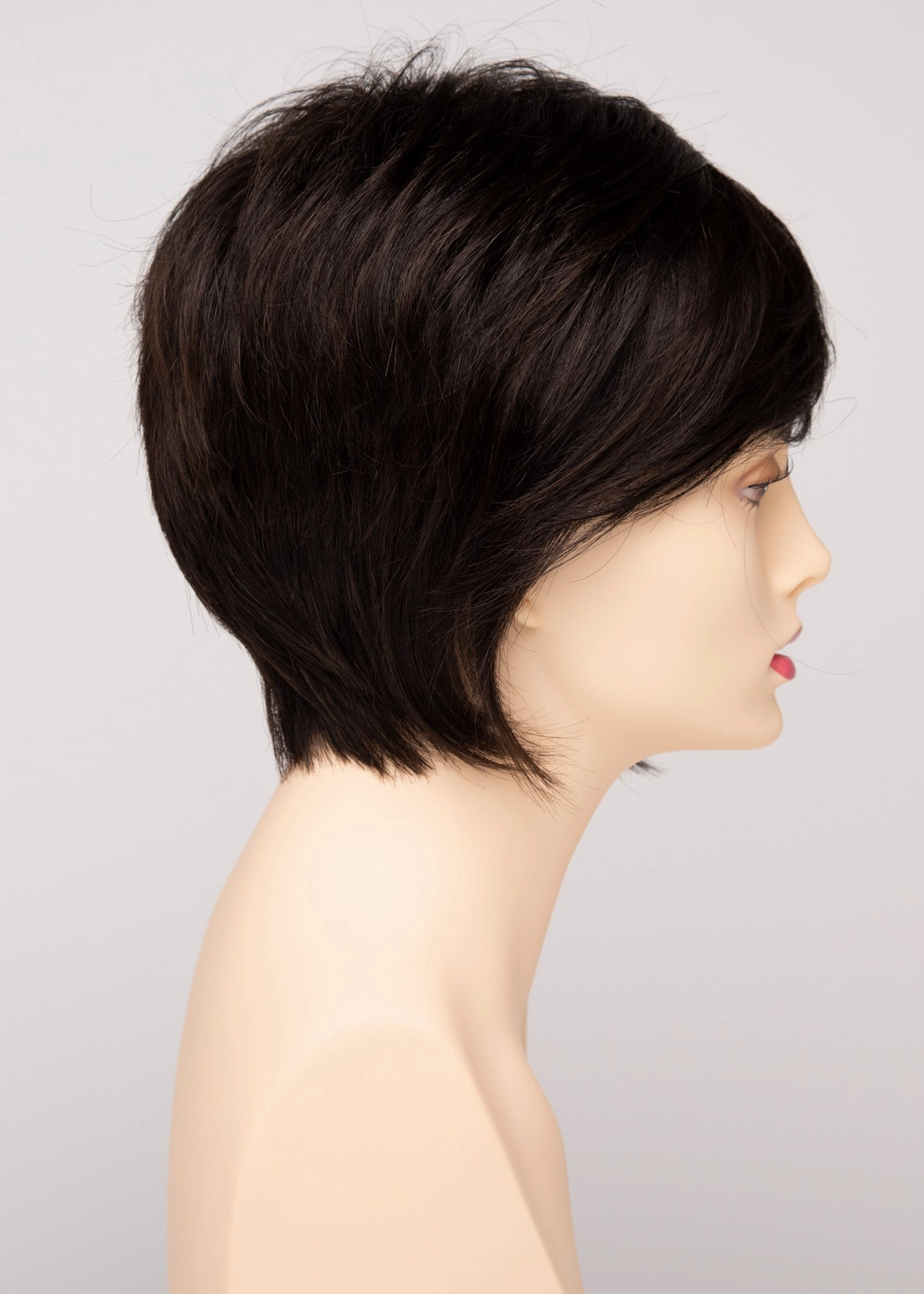 Accessories_Envy_Wigs Chantel Envy Wigs