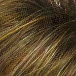 Accessories_Envy_Wigs Christine Wig by Envy | Synthetic (Mono Part)
