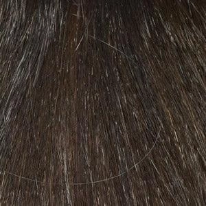 Accessories_Envy_Wigs Christine Wig by Envy | Synthetic (Mono Part)