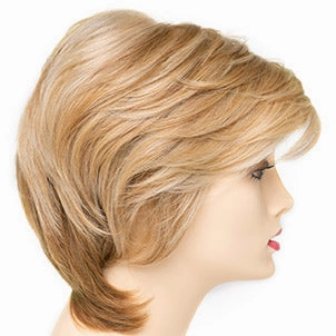 Accessories_Envy_Wigs Coti