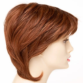 Accessories_Envy_Wigs Coti