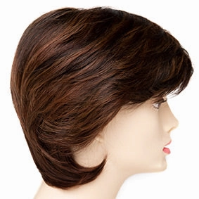 Accessories_Envy_Wigs Coti