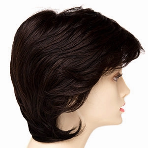 Accessories_Envy_Wigs Coti