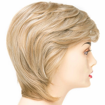 Accessories_Envy_Wigs Coti