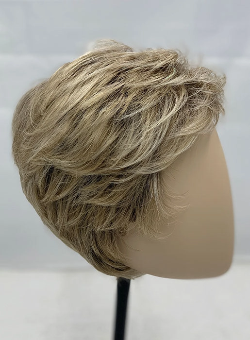 Accessories_Envy_Wigs Debbie Wig by Ellen Wille | Synthetic Hair | Petite/Average Cap