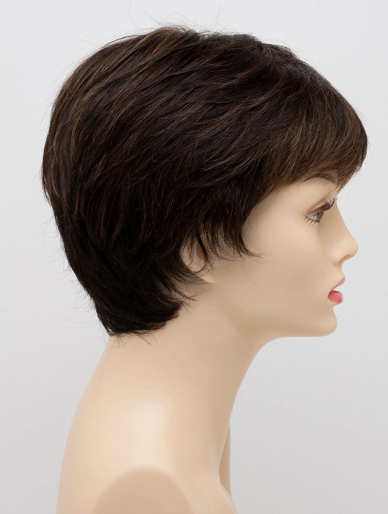 Accessories_Envy_Wigs Destiny Envy Wigs