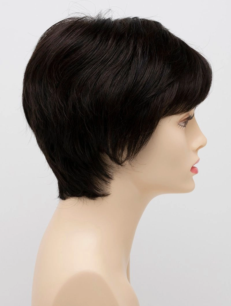 Accessories_Envy_Wigs Destiny Envy Wigs