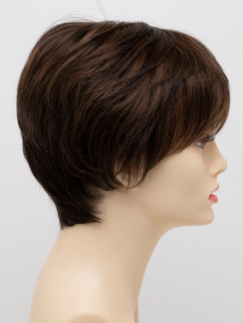 Accessories_Envy_Wigs Destiny Envy Wigs