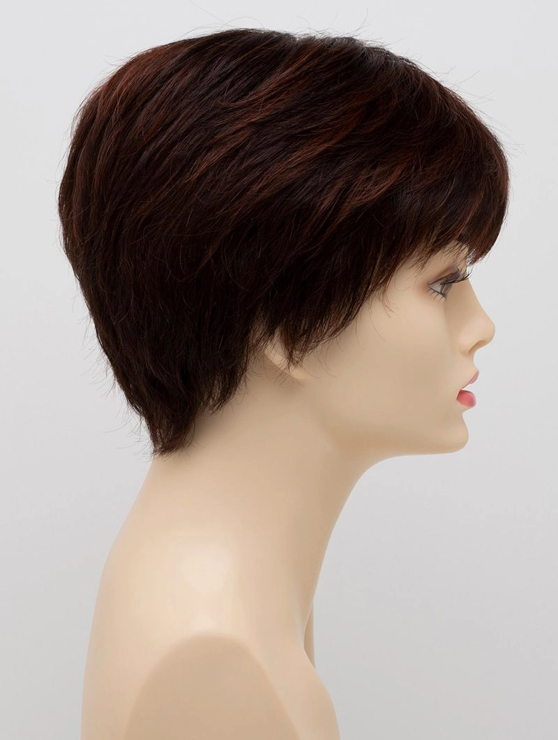 Accessories_Envy_Wigs Destiny Envy Wigs