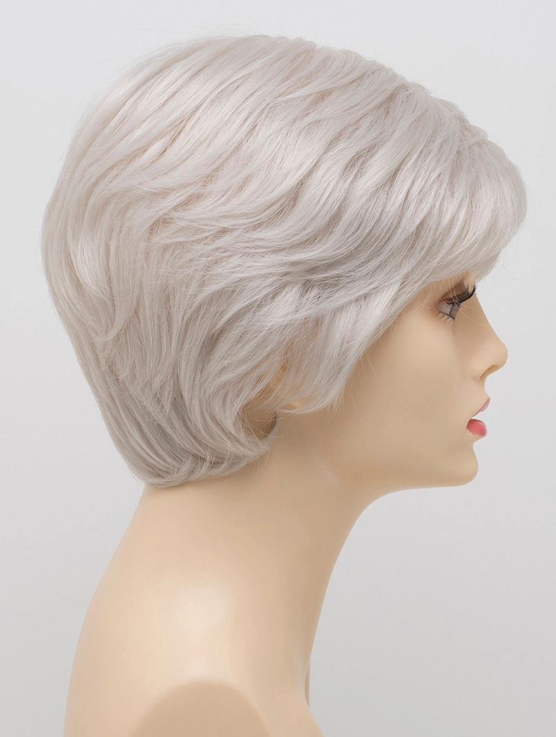 Accessories_Envy_Wigs Destiny Envy Wigs