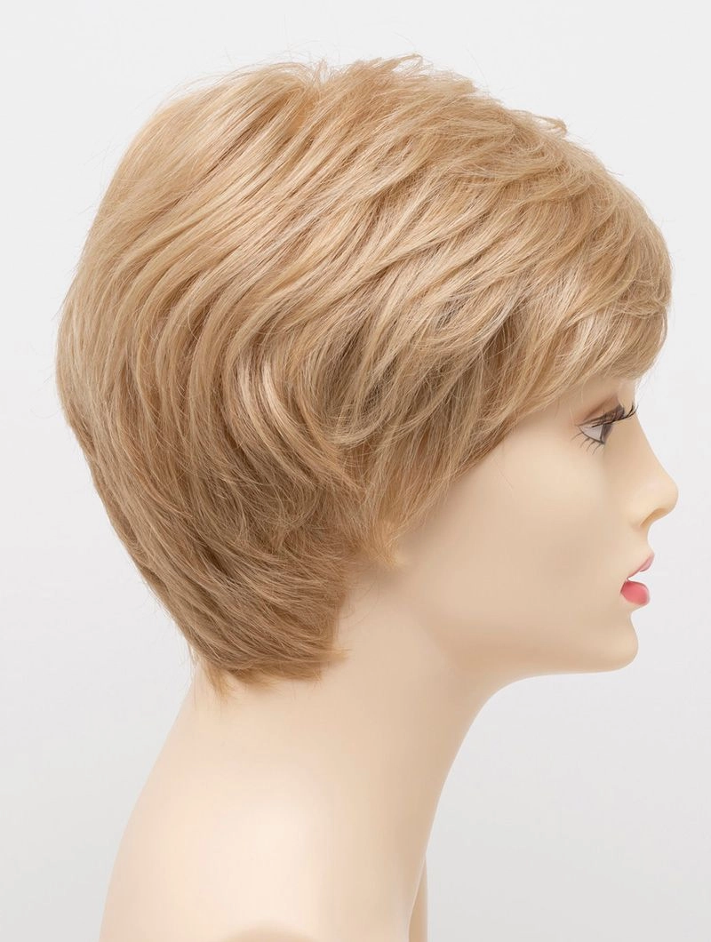 Accessories_Envy_Wigs Destiny Envy Wigs