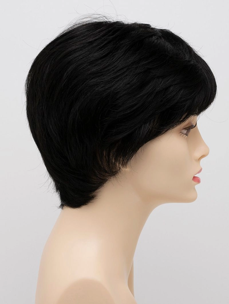 Accessories_Envy_Wigs Destiny Envy Wigs