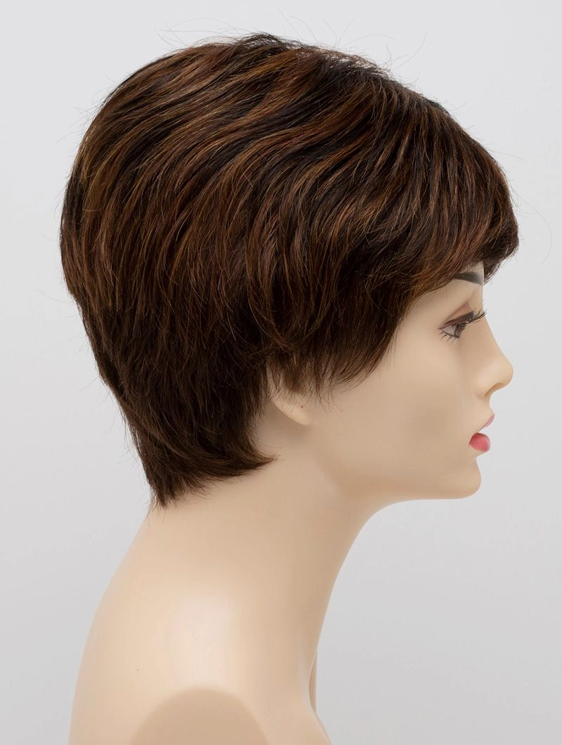 Accessories_Envy_Wigs Destiny Envy Wigs